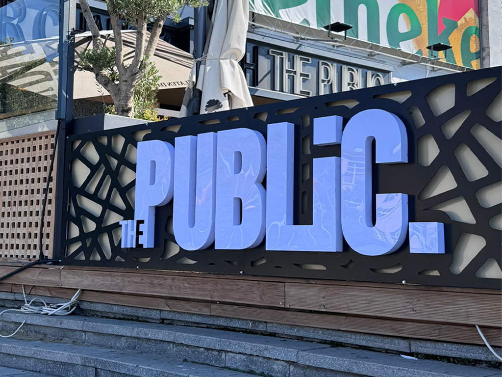 The Public